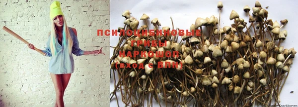 соль курить ск Медвежьегорск