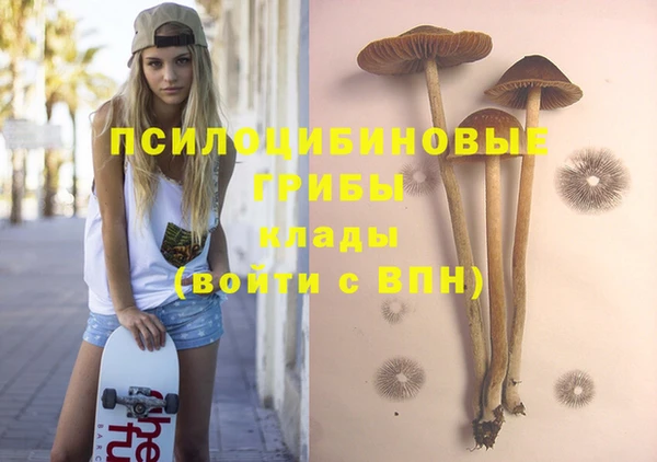 соль курить ск Медвежьегорск