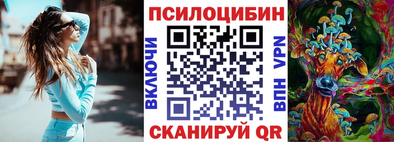 Псилоцибиновые грибы Cubensis  Ершов 
