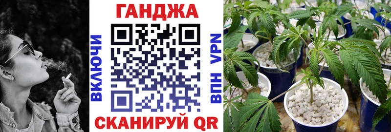 Бошки Шишки Amnesia  сайты даркнета Telegram  Ершов 